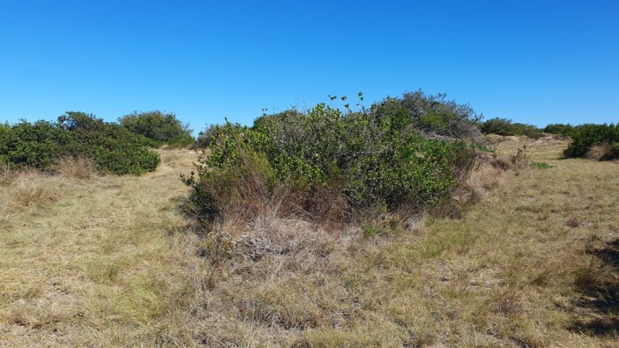 3 Bedroom Property for Sale in Dana Bay Western Cape